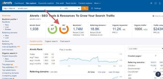 Domain Rating untuk SEO Website